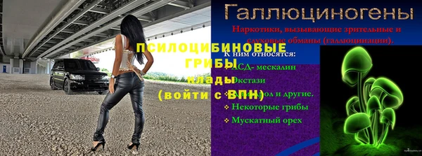 мдпв Верея