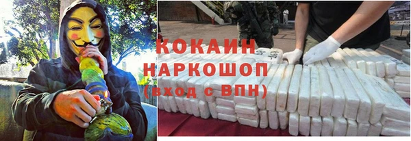 мдпв Верея