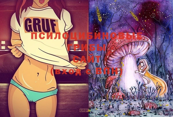 мдпв Верея