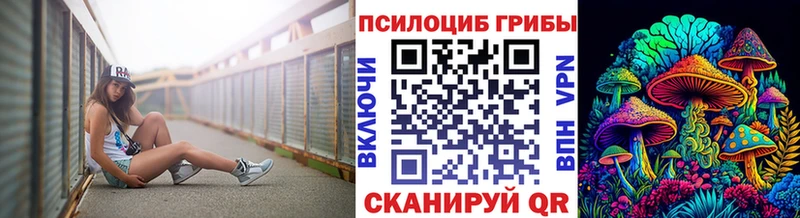 Купить где  Нелидово  Псилоцибиновые грибы мицелий 