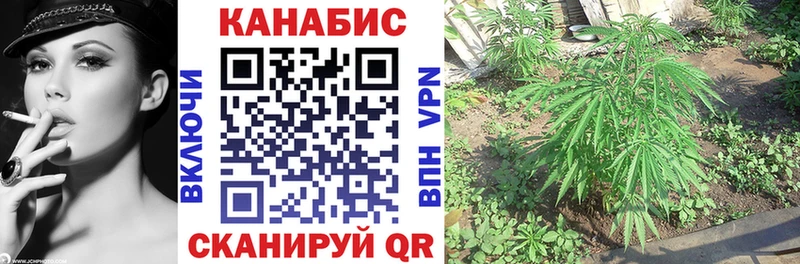Бошки марихуана SATIVA & INDICA Нелидово